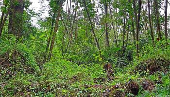 0 Ginger Road  Pahoa, Hi vacant land for sale - photo 1 of 5