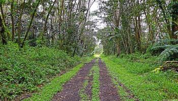 0 Ginger Road  Pahoa, Hi vacant land for sale - photo 2 of 5