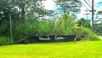 0 Ginger Road  Pahoa, Hi vacant land for sale - photo 3 of 5