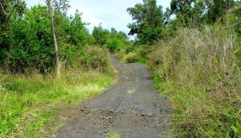 0 Hawaii Belt Road  Captain Cook, Hi vacant land for sale - photo 3 of 7