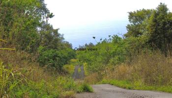 0 Hawaii Belt Road  Captain Cook, Hi vacant land for sale - photo 4 of 7
