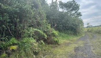 0 Huina Rd  Mountain View, Hi vacant land for sale - photo 2 of 5