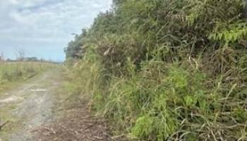 0 Huina Rd  Mountain View, Hi vacant land for sale - photo 3 of 5