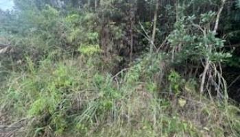 0 Huina Rd  Mountain View, Hi vacant land for sale - photo 4 of 5