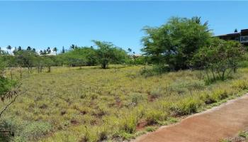 0 Kaiaka Road lot 10 Maunaloa, Hi vacant land for sale - photo 4 of 11