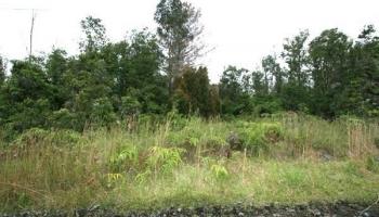 0 Kaleponi Drive  Volcano, Hi vacant land for sale - photo 6 of 10