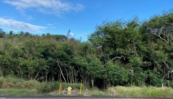 0 Kamehameha V Hwy  Kaunakakai, Hi vacant land for sale - photo 2 of 6