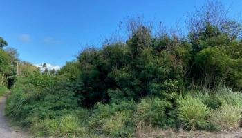 0 Kamehameha V Hwy  Kaunakakai, Hi vacant land for sale - photo 3 of 6