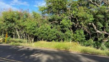 0 Kamehameha V Hwy  Kaunakakai, Hi vacant land for sale - photo 5 of 6