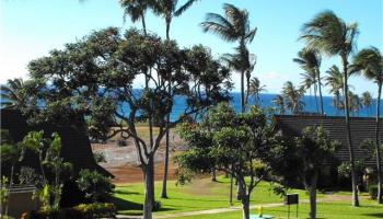 West Molokai Resort condo # 2214, Maunaloa, Hawaii - photo 4 of 4