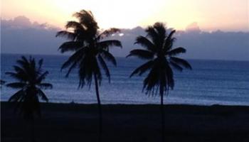 West Molokai Resort condo # 2233/11B09, Maunaloa, Hawaii - photo 6 of 24