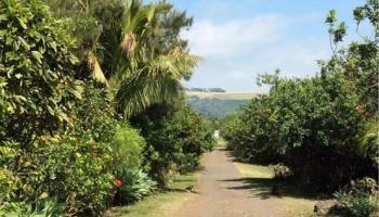 0 Kuamo'o Rd  Naalehu, Hi vacant land for sale - photo 1 of 3