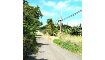 0 Kuamo'o Rd  Naalehu, Hi 96772 vacant land - photo 2 of 3