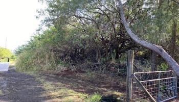 0 Kuamoo Street  Naalehu, Hi vacant land for sale - photo 3 of 5