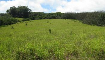 Lot 10 Awalau Rd , Hi 96708 vacant land - photo 4 of 15 Lot 10 Awalau Rd , Hi 96708 vacant land - photo 4 of 15