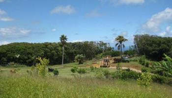 Lot 10 Awalau Rd , Hi 96708 vacant land - photo 5 of 15