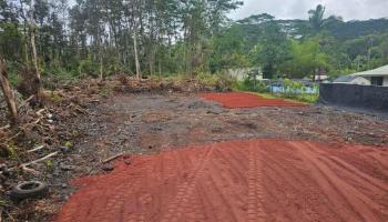 Lot 1022 Oahu Road  Pahoa, Hi vacant land for sale - photo 5 of 15
