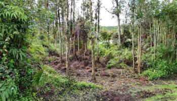 Lot 1022 Oahu Road  Pahoa, Hi vacant land for sale - photo 6 of 15