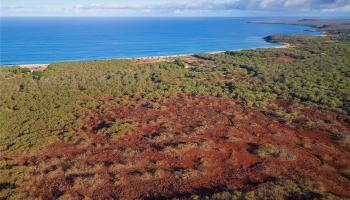 Lot 125 Ahiu Road  Maunaloa, Hi vacant land for sale - photo 5 of 8