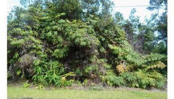 Lot 1716 Pa Alii Street Lot 1716 Volcano, Hi vacant land for sale - photo 1 of 3