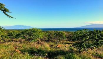 Lot 184 Ulua Rd Kaunakakai, Hi 96748 vacant land - photo 1 of 3 Lot 184 Ulua Rd Kaunakakai, Hi 96748 vacant land - photo 1 of 3