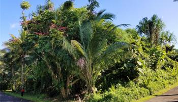 Lot 1879 Popaa Street  Pahoa, Hi vacant land for sale - photo 1 of 20