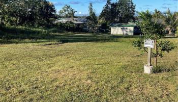 Lot 21 Lilikoi Dr  Pahoa, Hi vacant land for sale - photo 2 of 6