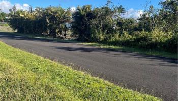 Lot 21 Lilikoi Dr  Pahoa, Hi vacant land for sale - photo 5 of 6