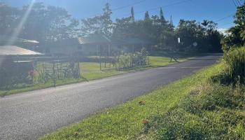 Lot 21 Lilikoi Dr  Pahoa, Hi vacant land for sale - photo 6 of 6