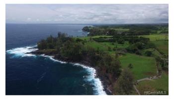 Lot 25 Beach Road  Pepeekeo, Hi vacant land for sale - photo 2 of 13