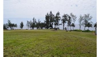Lot 25 Beach Road  Pepeekeo, Hi vacant land for sale - photo 4 of 13