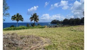 Lot 25 Beach Road  Pepeekeo, Hi vacant land for sale - photo 6 of 13