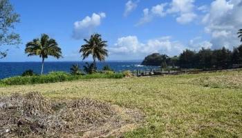 Lot 26 Beach Road  Pepeekeo, Hi vacant land for sale - photo 6 of 13