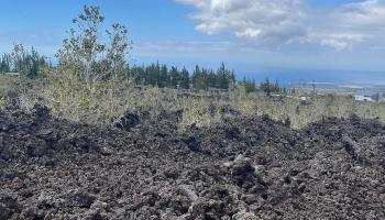 Lot #3 Coconut Dr  Captain Cook, Hi vacant land for sale - photo 1 of 3