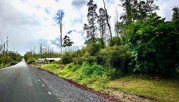 Lot 40 Kuhio Drive  Pahoa, Hi vacant land for sale - photo 2 of 5