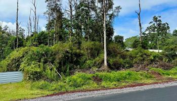 Lot 40 Kuhio Drive  Pahoa, Hi vacant land for sale - photo 3 of 5