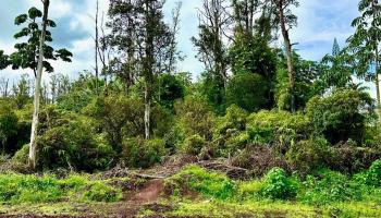 Lot 40 Kuhio Drive  Pahoa, Hi vacant land for sale - photo 5 of 5