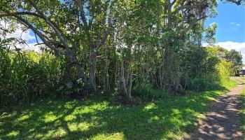 Lot 5 Hawaii Belt Road  Kealakekua, Hi vacant land for sale - photo 1 of 1