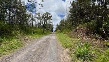 Lot 65 39th Ave  Pahoa, Hi vacant land for sale - photo 4 of 5