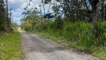 Lot 65 39th Ave  Pahoa, Hi vacant land for sale - photo 5 of 5