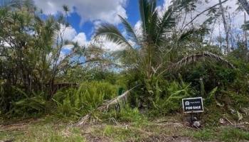 Lot 68 39th Ave  Pahoa, Hi vacant land for sale - photo 1 of 2
