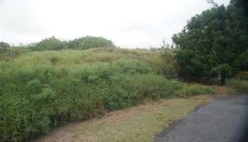 Lot 84 Kalai Waa  Naalehu, Hi vacant land for sale - photo 1 of 1