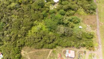 Lot 89 Huina Rd  Mountain View, Hi vacant land for sale - photo 4 of 17