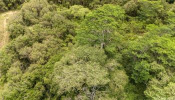 Lot 89 Huina Rd  Mountain View, Hi vacant land for sale - photo 6 of 17