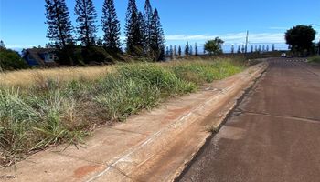 0 Mahiki Place Maunaloa, Hi 96770 vacant land - photo 4 of 10 0 Mahiki Place Maunaloa, Hi 96770 vacant land - photo 4 of 10