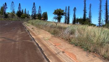 0 Mahiki Place Maunaloa, Hi 96770 vacant land - photo 5 of 10