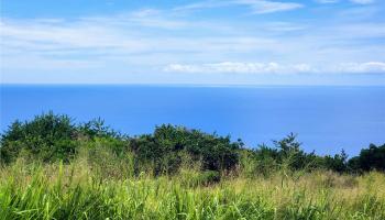 0 Mamalahoa Hwy  Captain Cook, Hi vacant land for sale - photo 6 of 15