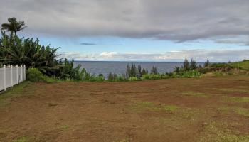 na Hawaii Belt Road LOT 8 Papaaloa, Hi vacant land for sale - photo 4 of 6