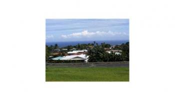 0   Hilo, Hi vacant land for sale - photo 3 of 4