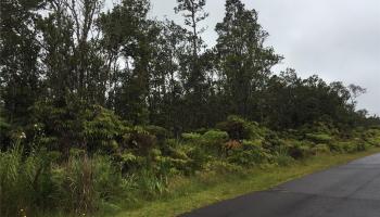 NA Ohialani Road  Volcano, Hi vacant land for sale - photo 1 of 1